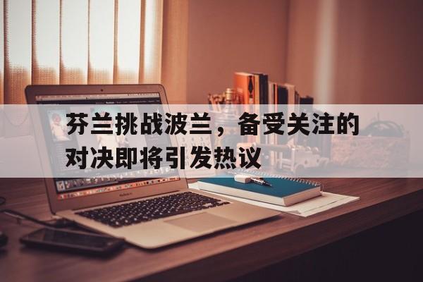 芬兰挑战波兰，备受关注的对决即将引发热议的简单介绍